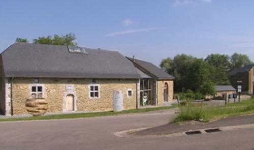 Braives : capitale du saule