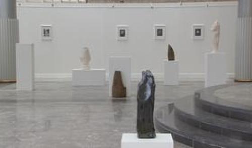 CHU : exposition  Something Precious  de Sophie Langohr