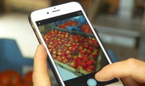 Anti-gaspillage: une nouvelle application mobile