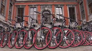 650 nouveaux vélos pour Vélocité