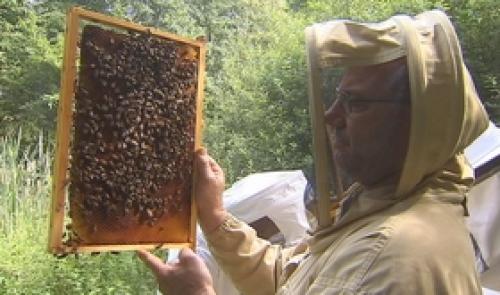Berloz: Ecole d'apiculture et rucher-école