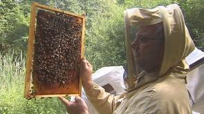 Berloz: Ecole d'apiculture et rucher-école