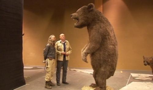 Préhistomuseum : les géants arrivent