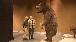Préhistomuseum : les géants arrivent