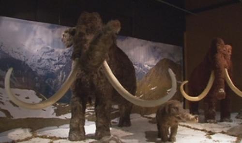 Géants de l' âge de glace au Préhistomuseum