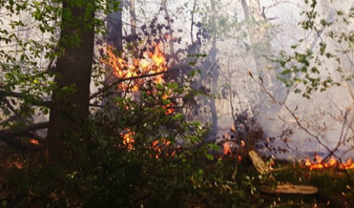 Imprudence de bÍ»cherons et feu de forêt à Flémalle, 