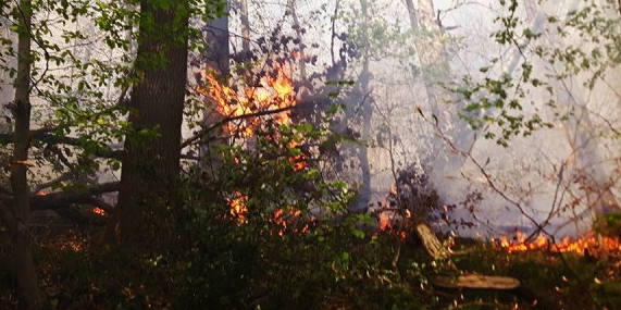 Imprudence de bÍ»cherons et feu de forêt à Flémalle, 