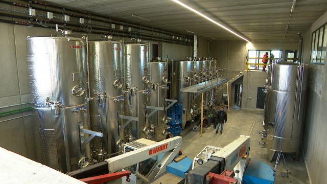 Installation de la cuverie de Vivardent