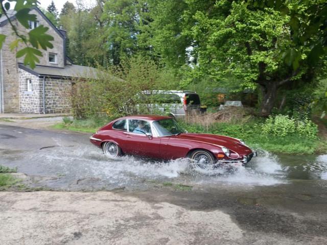 Des Jaguars dans le Condroz !