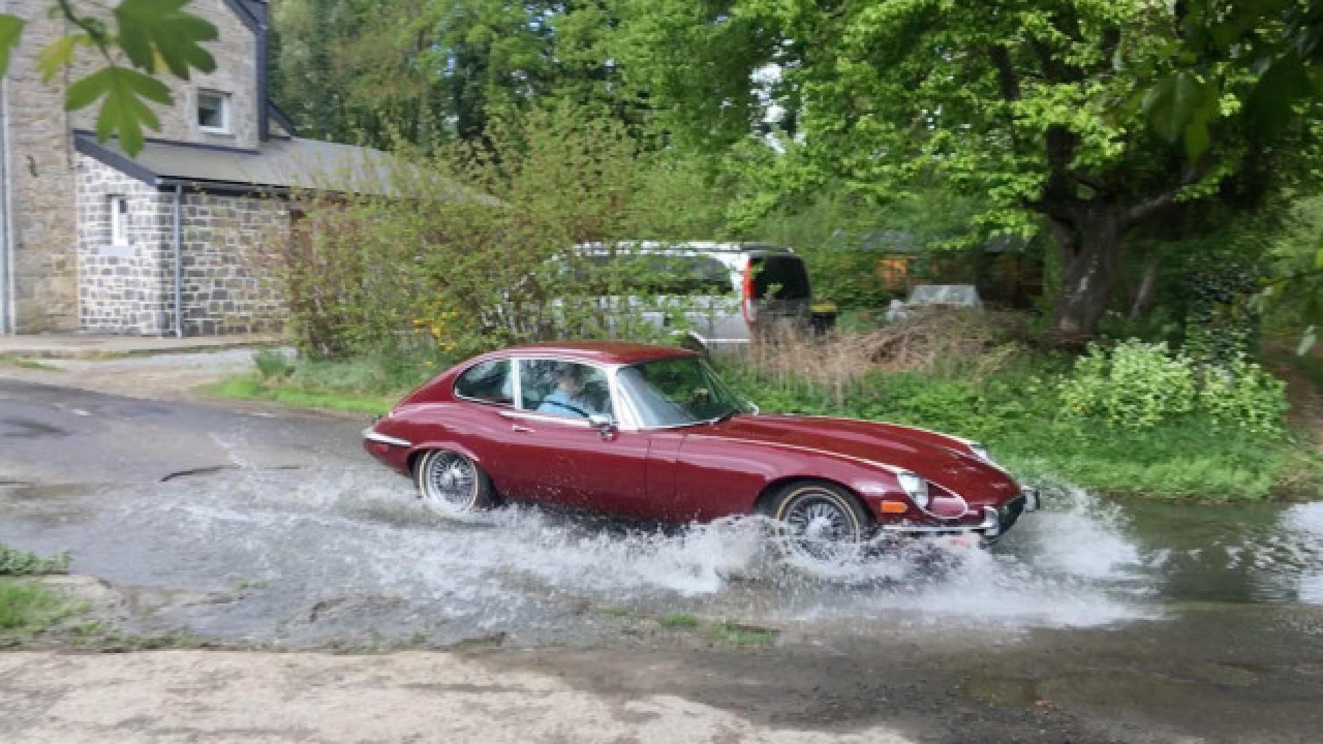 Des Jaguars dans le Condroz !