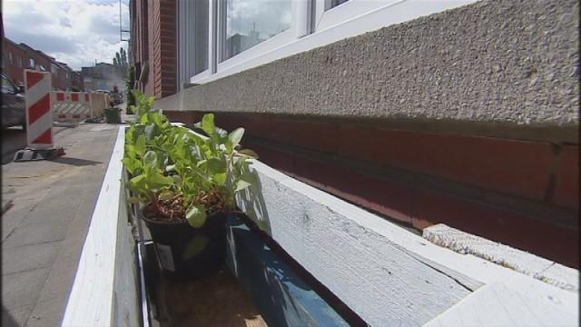 Jardiner dans les rues de Liège, c'est permis!