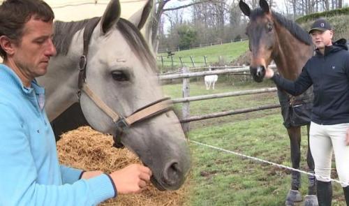 JO Tokyo: les chevaux de la "short list" passent les tests climatologiques