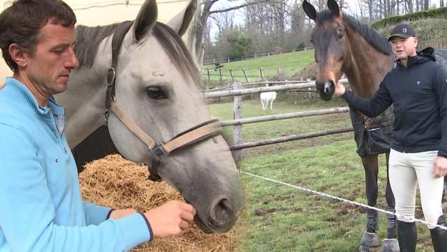 JO Tokyo: les chevaux de la "short list" passent les tests climatologiques
