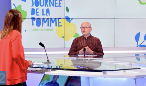 Journée de la pomme au Château de Wégimont 