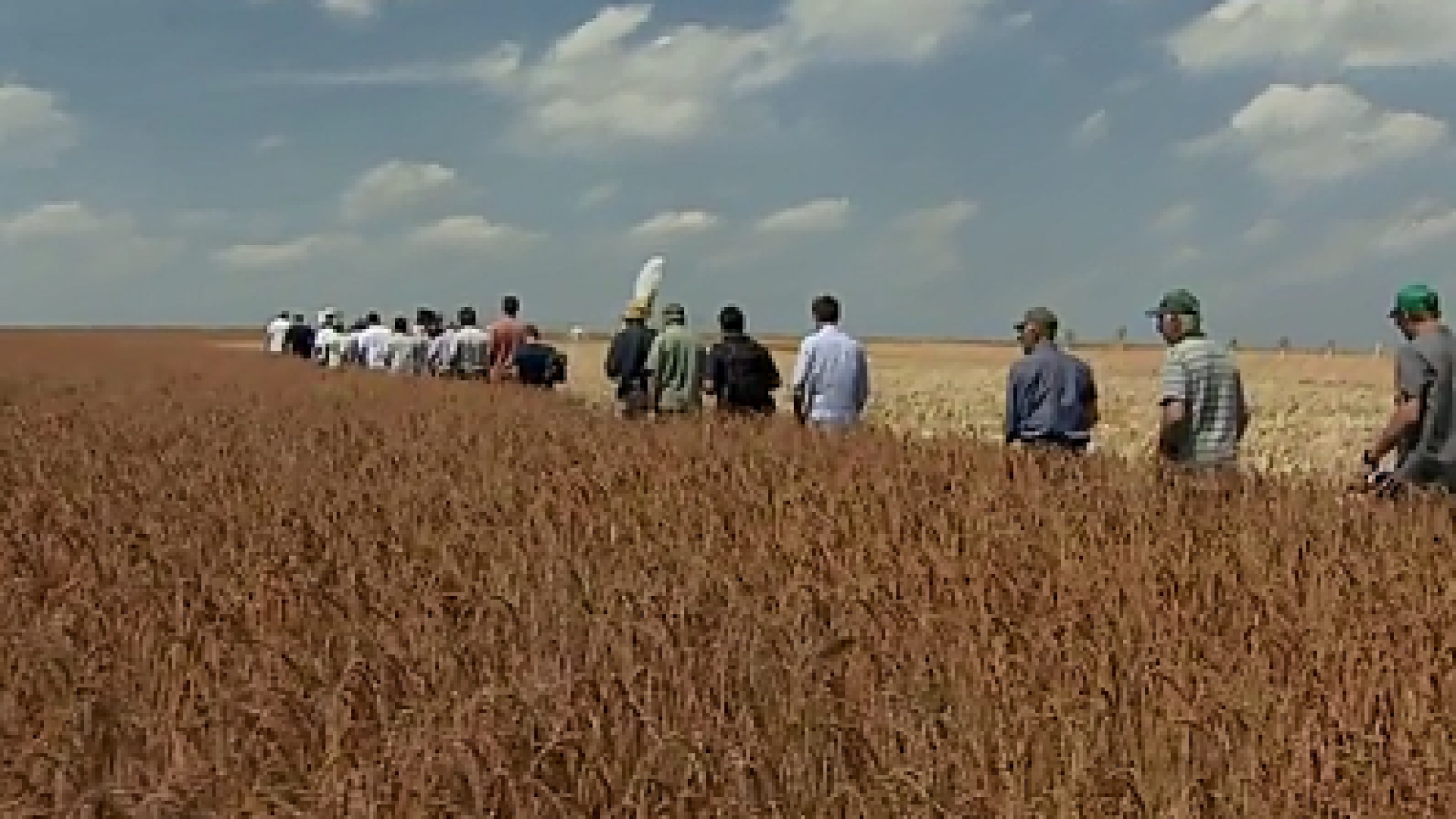 des agriculteurs au milieu d'un champ à  Horion Hozémont