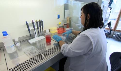 Journée mondiale de la lutte contre l'arthrose : une invention liégeoise !