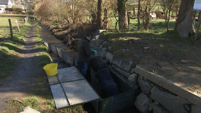 Journées de l'eau : la truite fario en nage libre dans le Bloquay