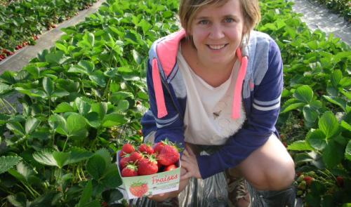 L'agriculture recherche des travailleurs saisonniers grâce à Jobs.Easy-Agri