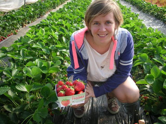 L'agriculture recherche des travailleurs saisonniers grâce à Jobs.Easy-Agri