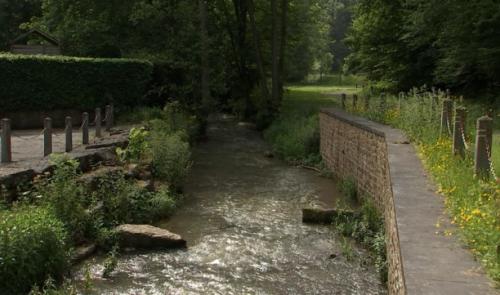 L'été de nos rivières: la biosurveillance des eaux du Néblon 
