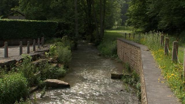 L'été de nos rivières: la biosurveillance des eaux du Néblon 