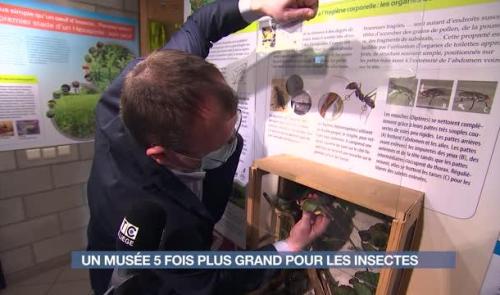 L'insectarium Hexapoda s'agrandit