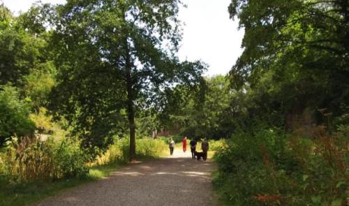 La Ville de Liège demande la reconnaissance de la Chartreuse comme site à réaménager