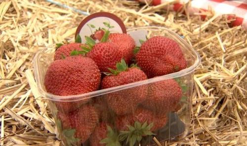 La fraise dans tous ses états à Hannut
