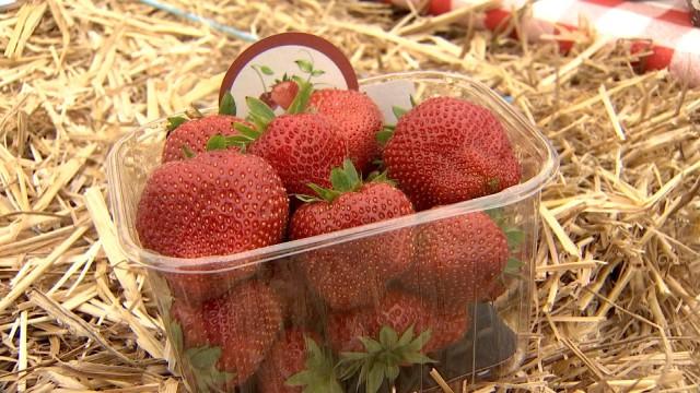 La fraise dans tous ses états à Hannut