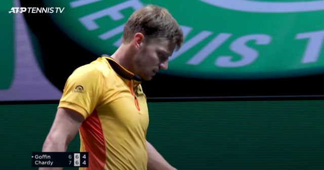 "Pas de mauvaises ondes" pour David Goffin