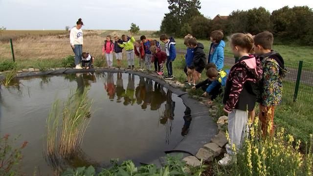 La mare didactique de Bettincourt reçoit le trophée BiodiverCité