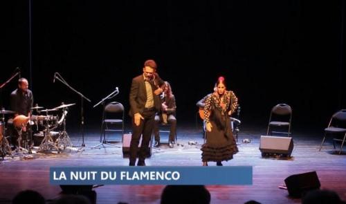 La Nuit du Flamenco 