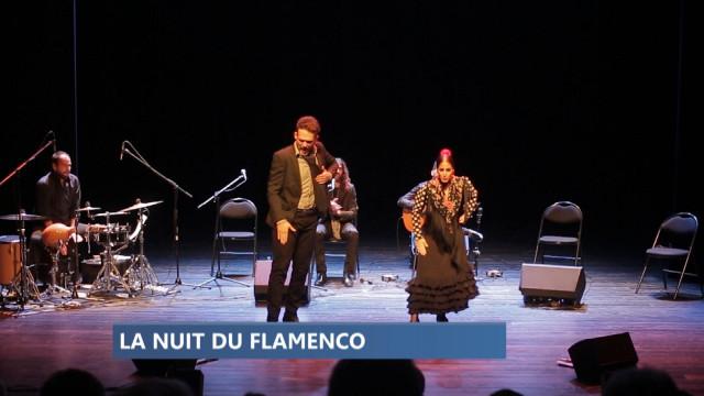 La Nuit du Flamenco 
