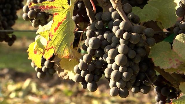 La Province de Liège a le vin en poupe