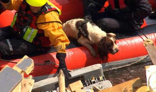 La recherche de victimes des inondations se poursuit ce mardi