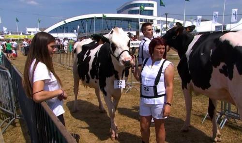 La relève de l'agriculture liégeoise à la foire de Libramont