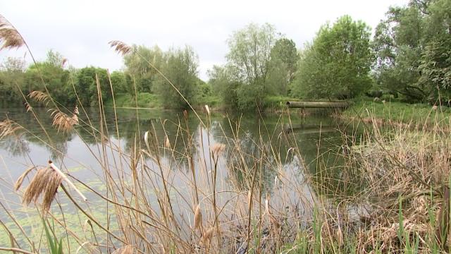 La réserve naturelle du Haut-Geer fête ses 10 ans 