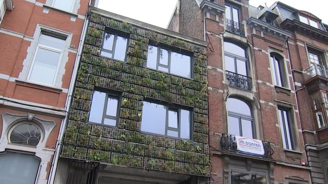 La végétalisation urbaine, le défi d'une spin-off de l'ULiège  