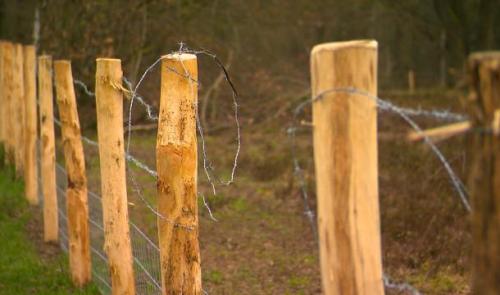 Lande de streupas : actes de vandalisme