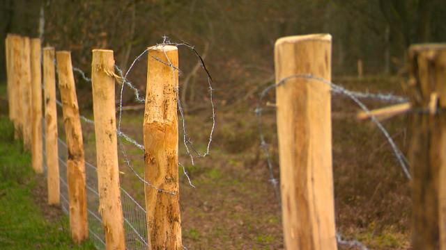 Lande de streupas : actes de vandalisme
