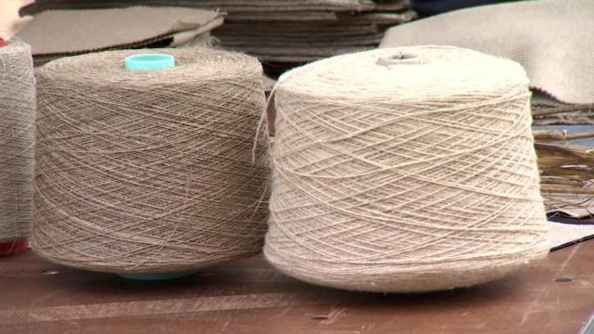 Le chanvre textile a de réelles potentialités en Belgique