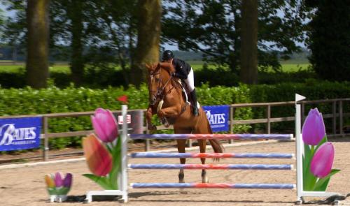 Le "Classic Tour Faimes" : l'avènement d'un jumping national au Haras des Waleffes
