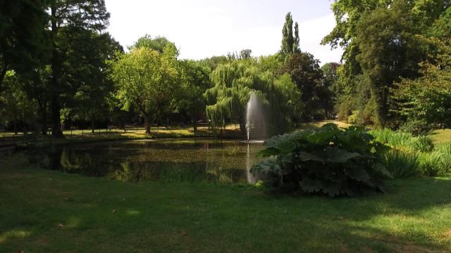 Le Jardin Botanique : 400 arbres remarquables au coeur de Liège 