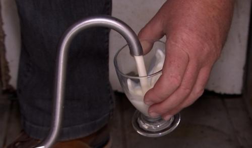 Le lait bio au même prix que le lait non bio, des producteurs nous expliquent