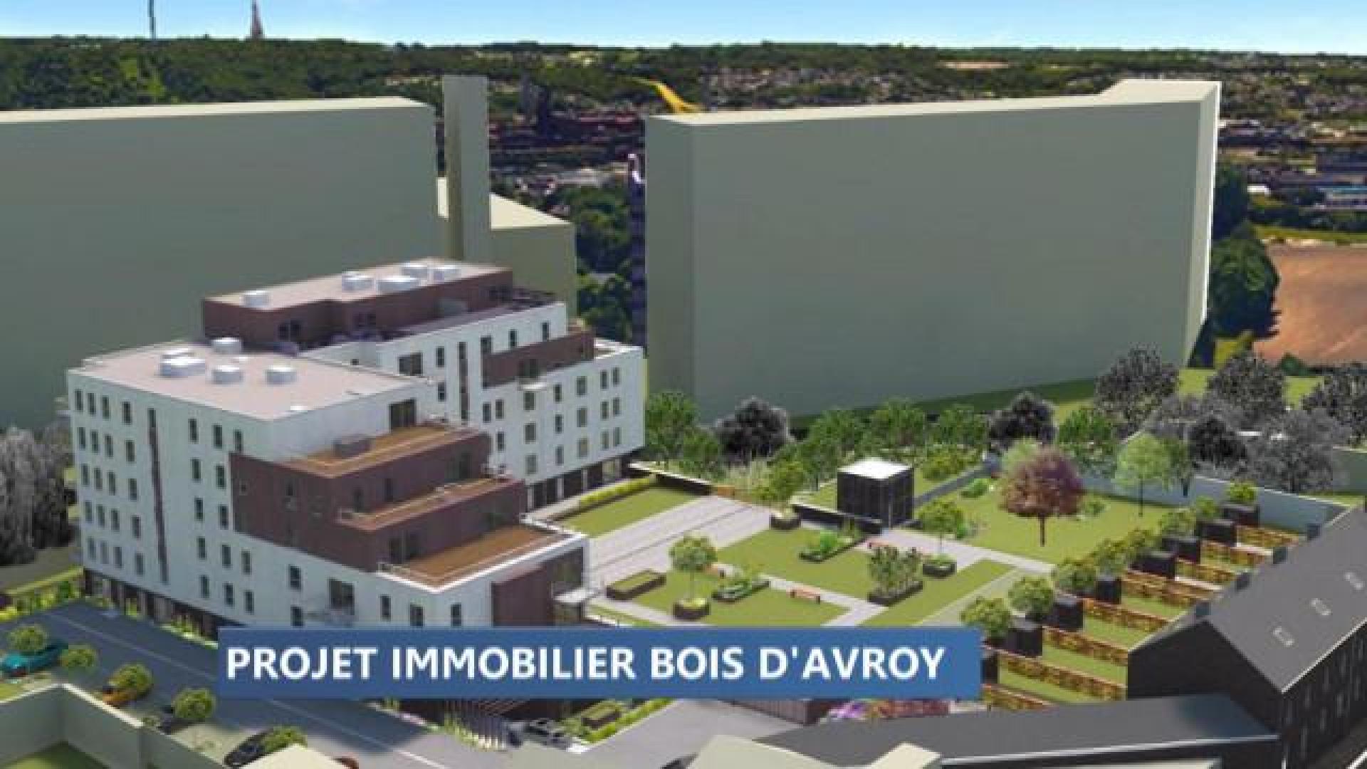 Le ministre Di Antonio casse le permis pour le projet Bois D'avoy