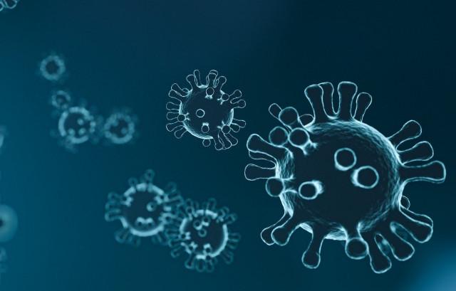 Le nombre de contaminations double en Province de Liège