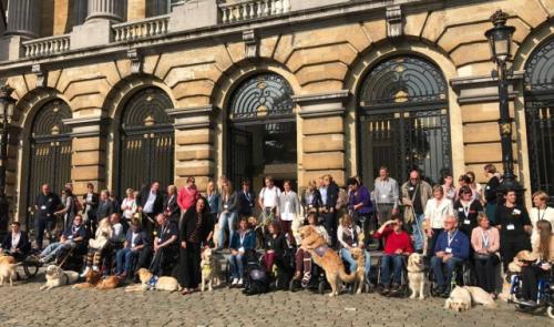 Les chiens d'assistance au Sénat 