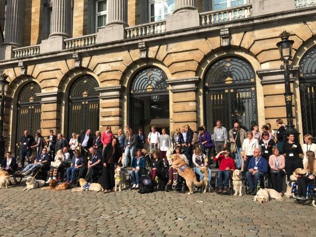 Les chiens d'assistance au Sénat 