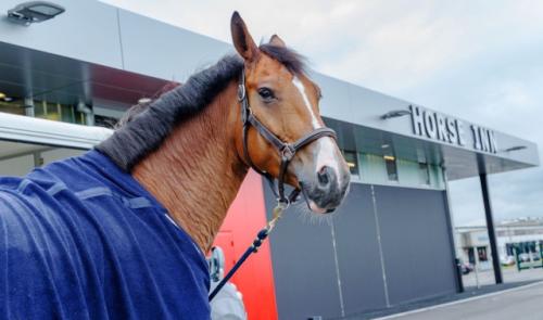 Les meilleurs chevaux du monde en transit à Liège Airport