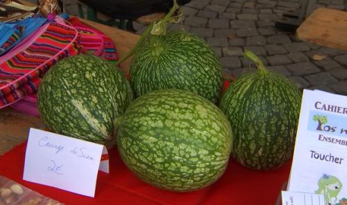 Les Petits Producteurs, lauréats de CREaFARM